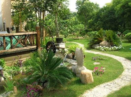 什么才是營養食品 營養食品有哪些？